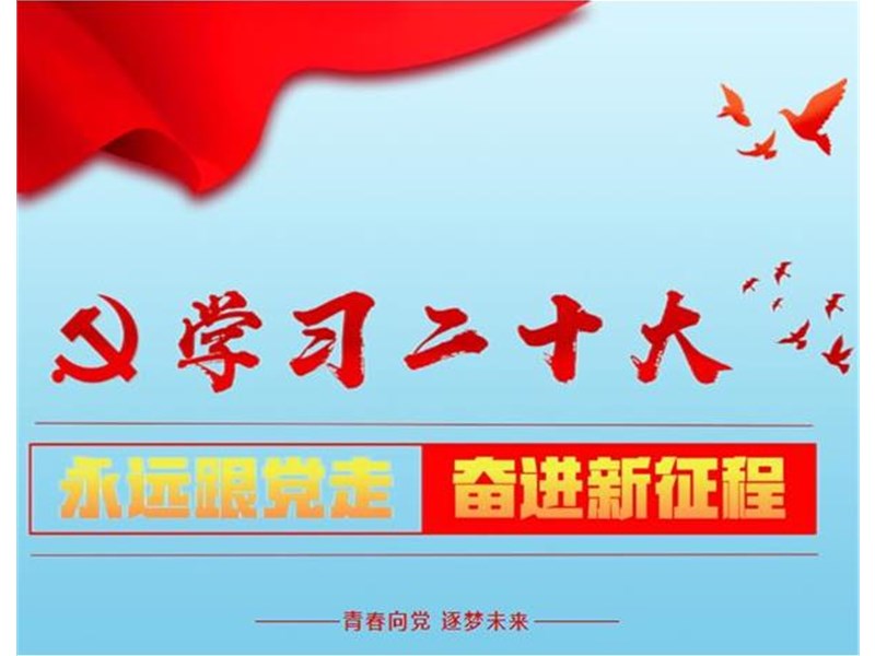 青春向党·逐梦未来 | 肥城市桃都实验学校开展“学习二十大、永远跟党走、奋进新征程”主题团队教育活动