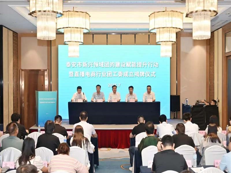 泰安市新兴领域团的建设赋能提升行动暨直播电商行业团工委成立揭牌仪式成功举办