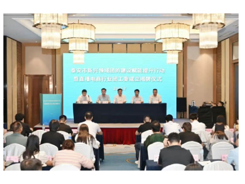 泰安市新兴领域团的建设赋能提升行动暨直播电商行业团工委成立揭牌仪式成功举办