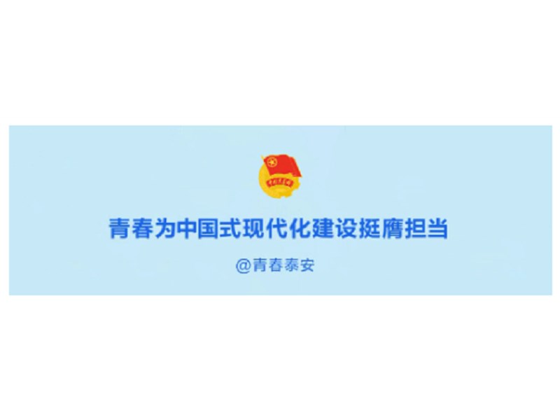 中共泰安市委十二届十一次全体会议举行